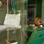 Margherita *