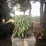 Margherita דירה פאביננה