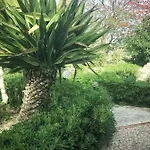 Margherita פאביננה